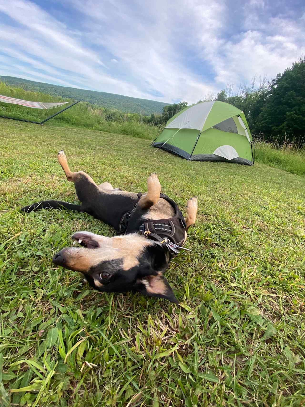 Gunx Camping On A Horse Farm!