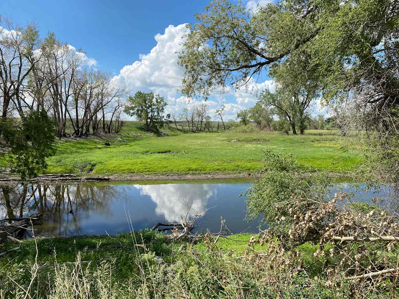 Pond and farm views