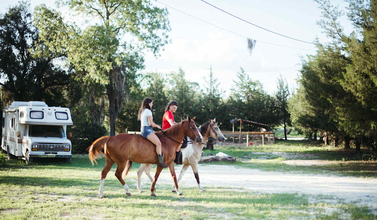 Margret's family owns many horses that really make this property unique and fun! 