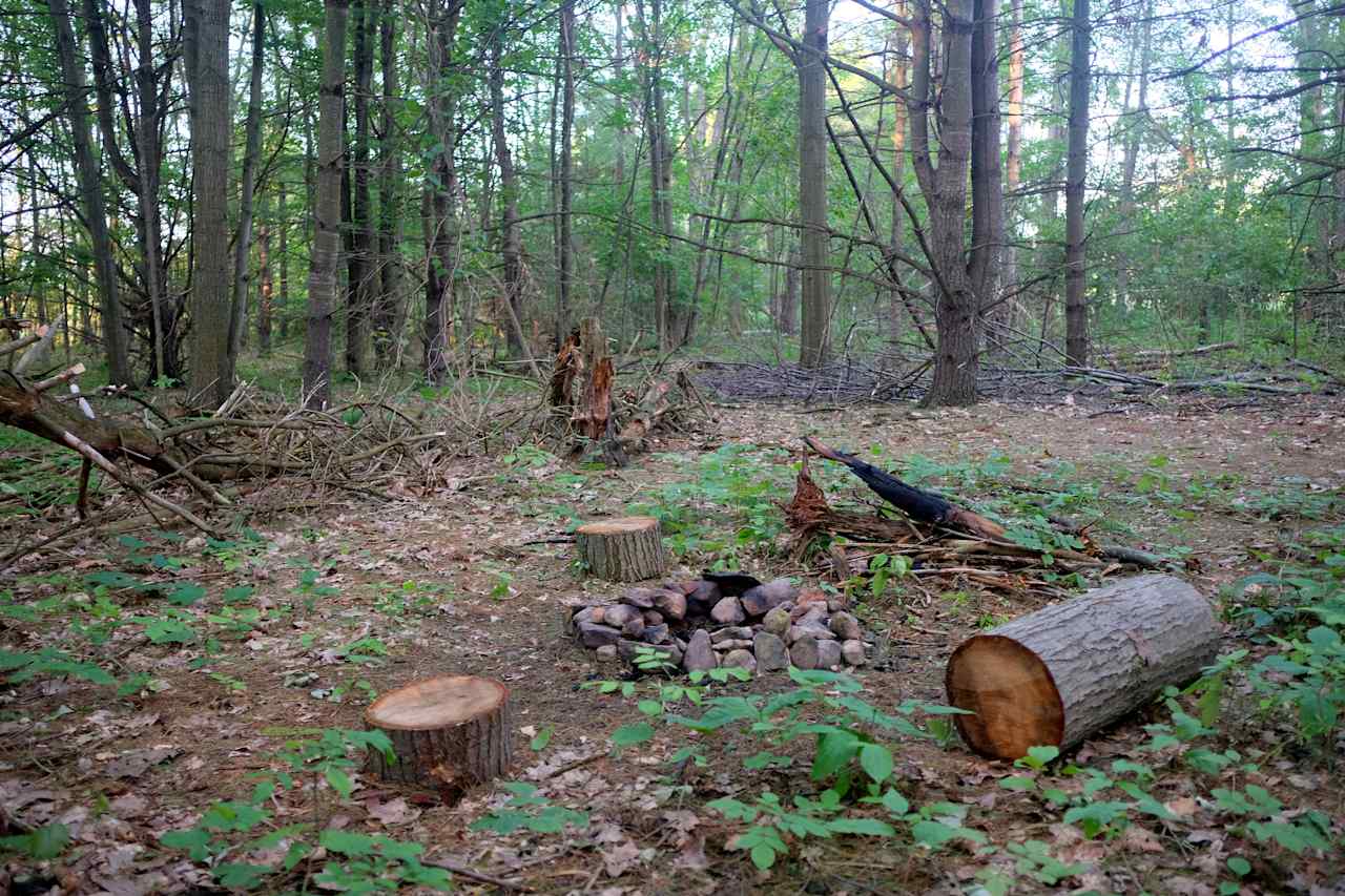 The campsite includes a fire ring, logs for sitting, and multiple flat spots on which to set up your tent. There are plenty of places to set up a hammock as well.