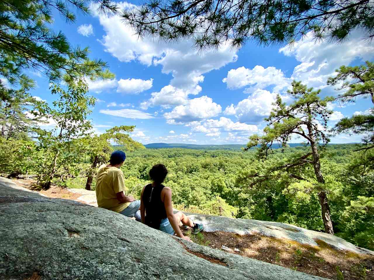 View from the Slabs in summer. This is a short walk on the farm from Red Fox Meadow. 