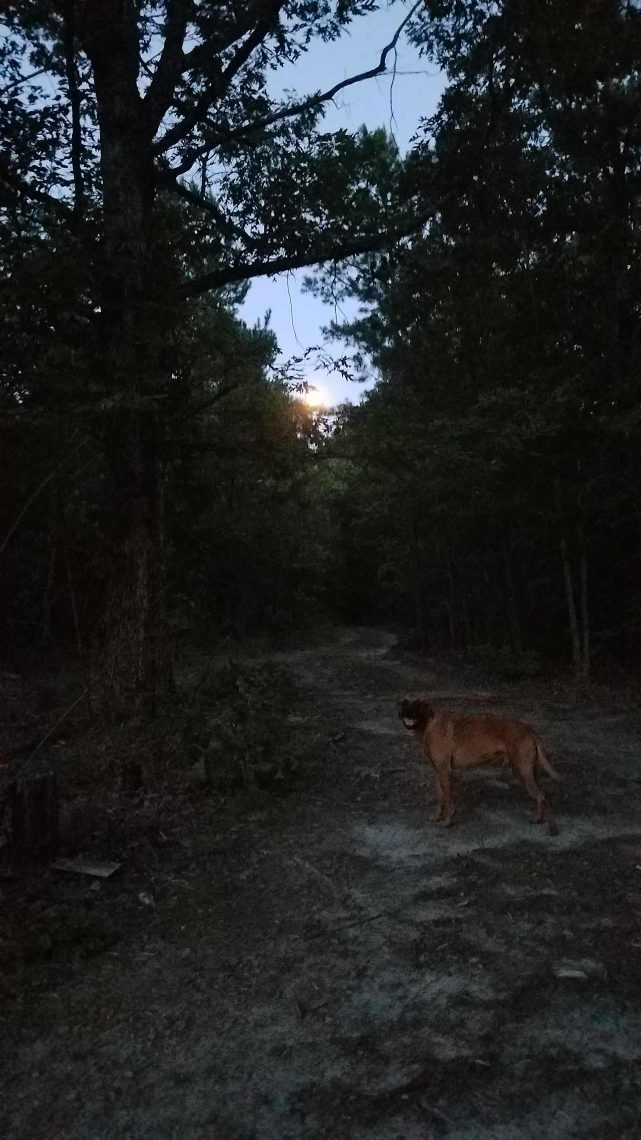 Moonrise!