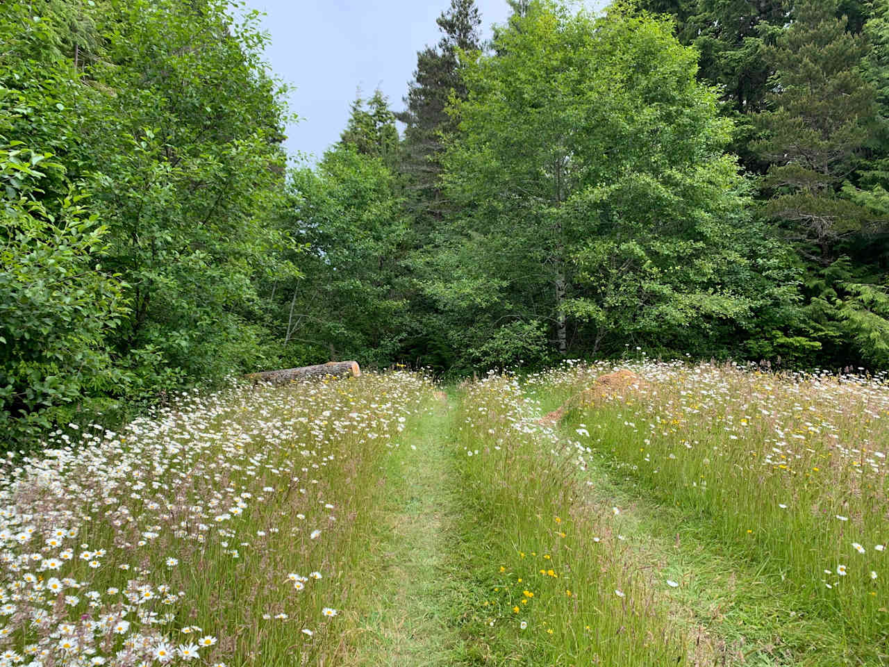 The entry to trailhead to camp sites.