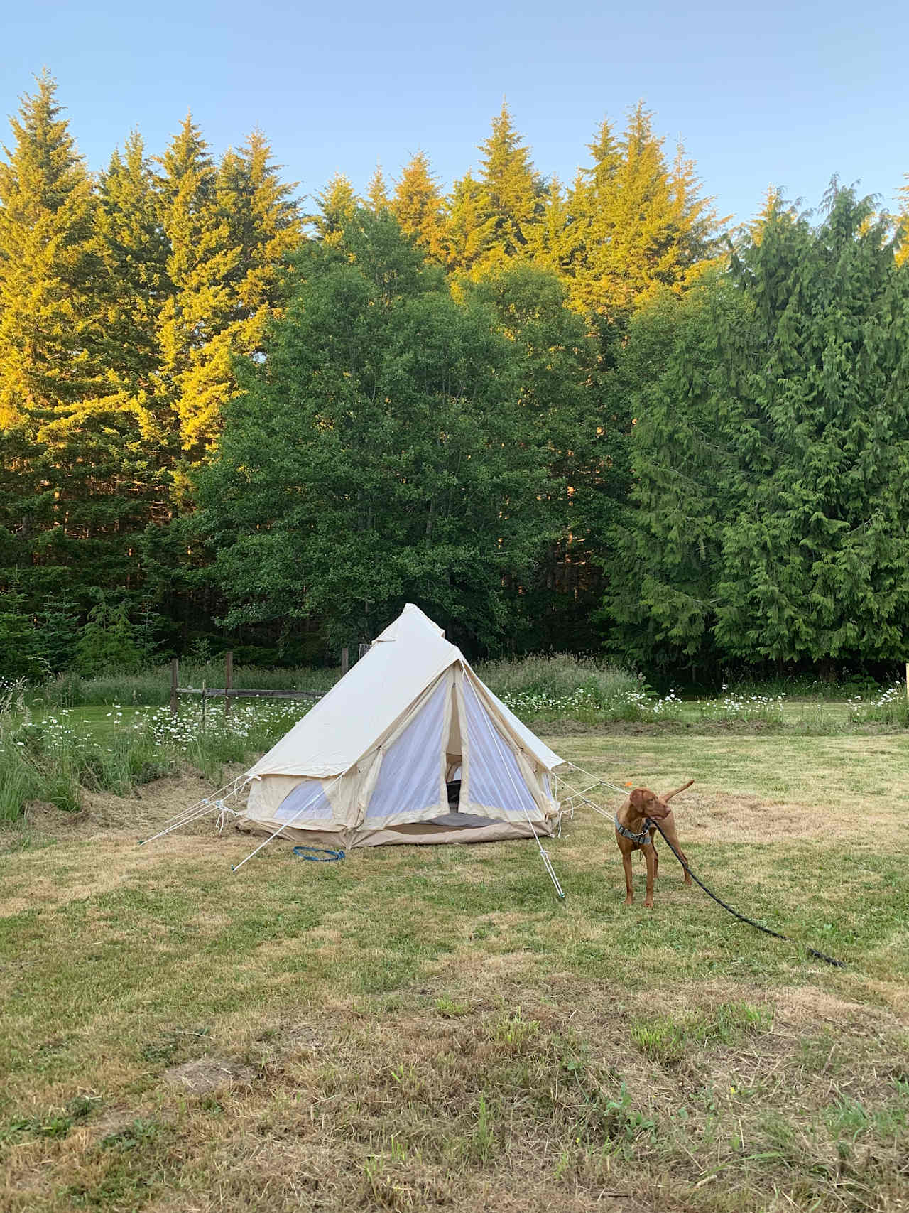 Glamping at the Gateway