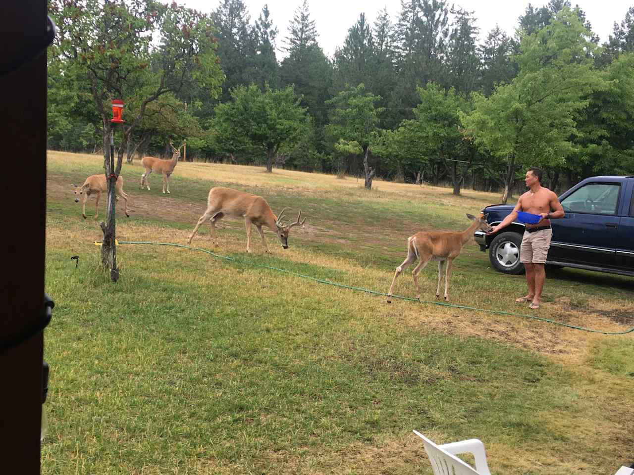 Flathead Lake Cherry Farm Camping