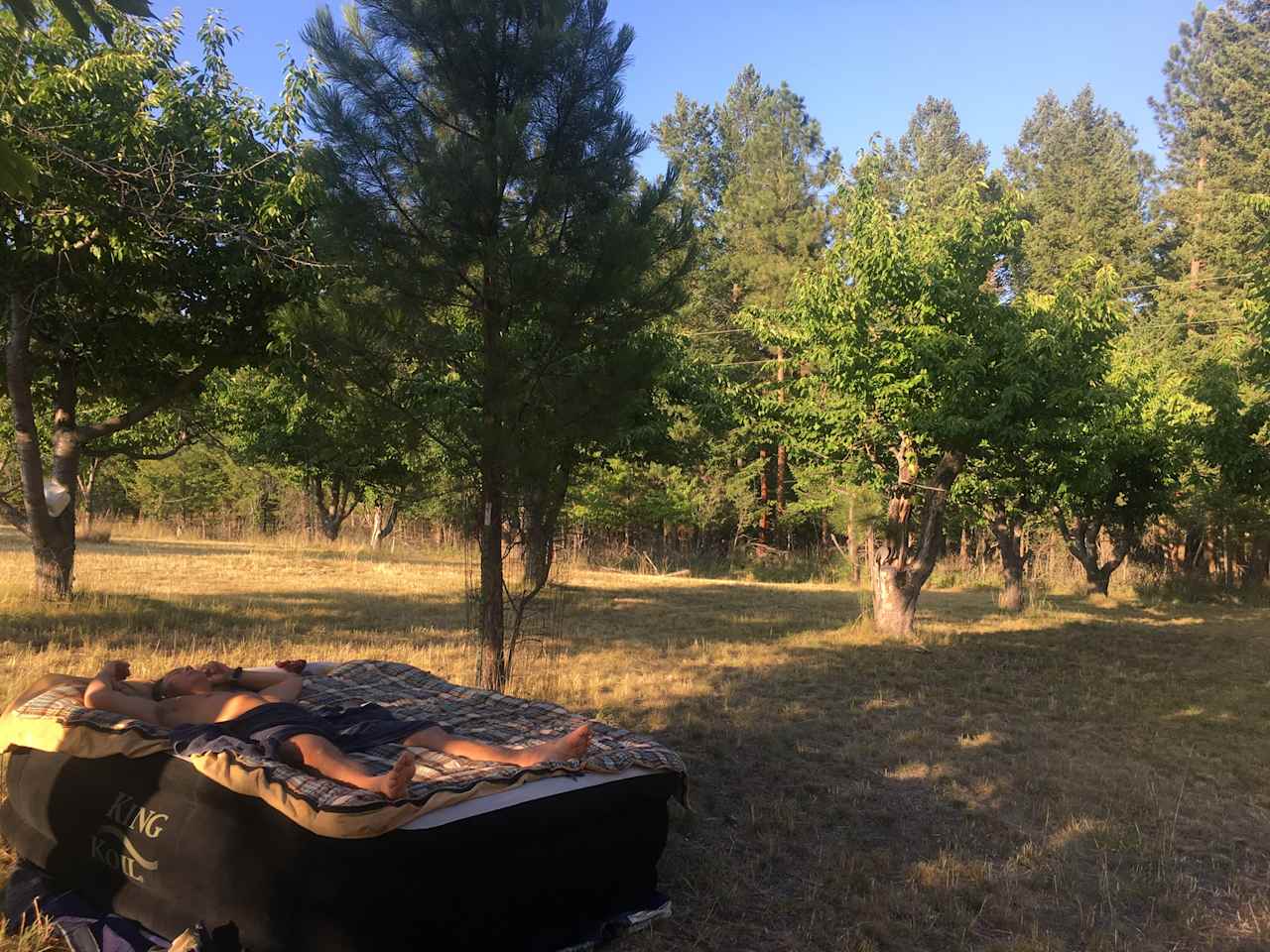 Flathead Lake Cherry Farm Camping