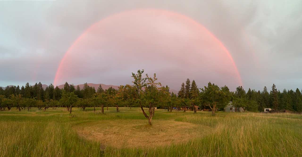 Sunset Rainbow over the orchard. 