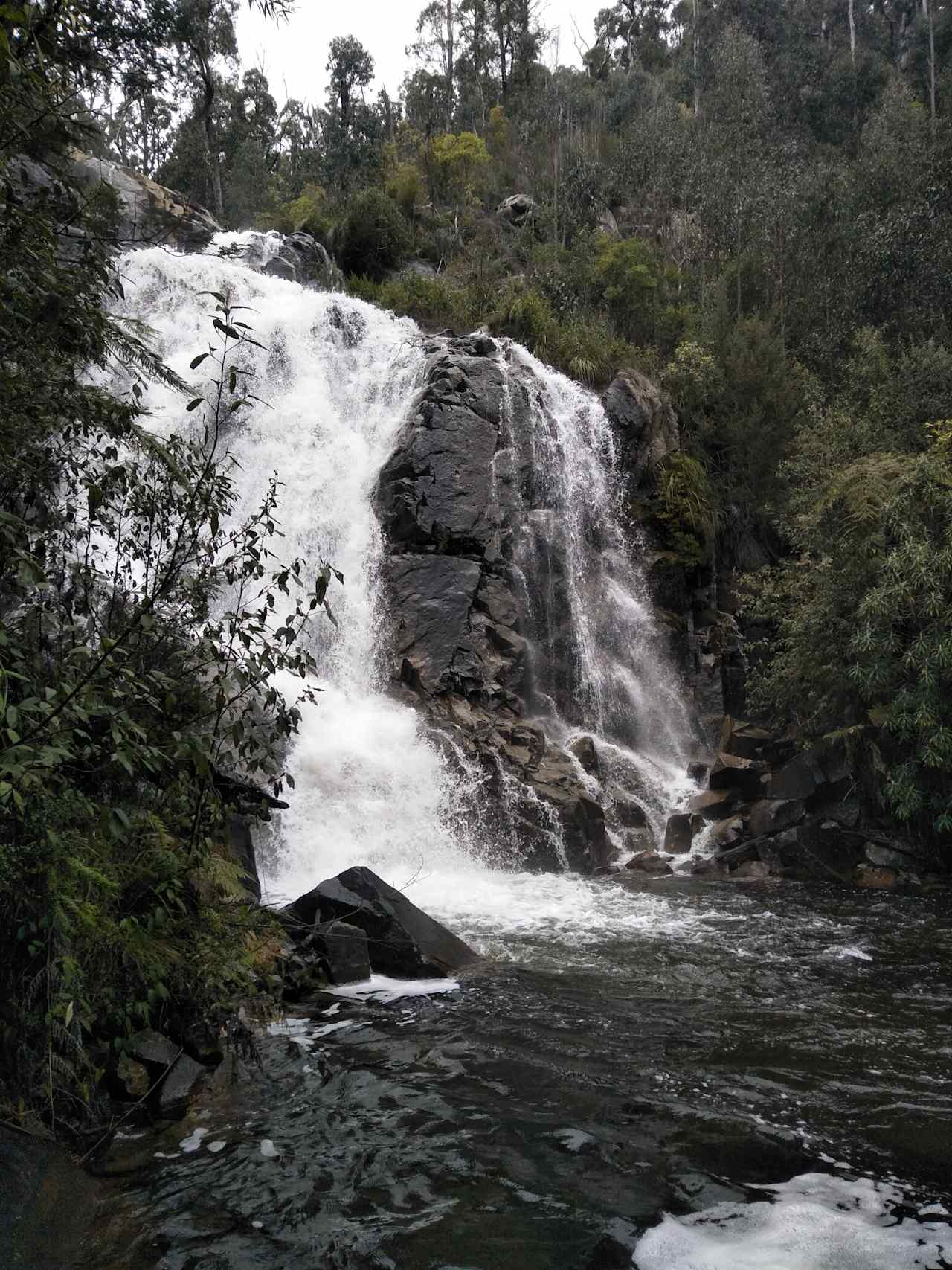 Murundindi scenic reserve