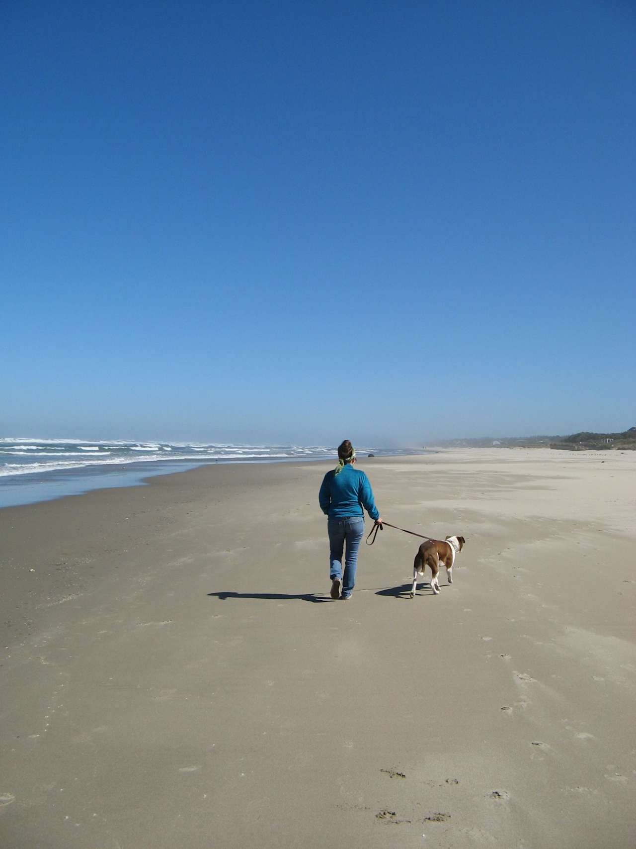 This stretch of beach is a 15 minute walk from home.  You can walk all the way to Yachats on the beach