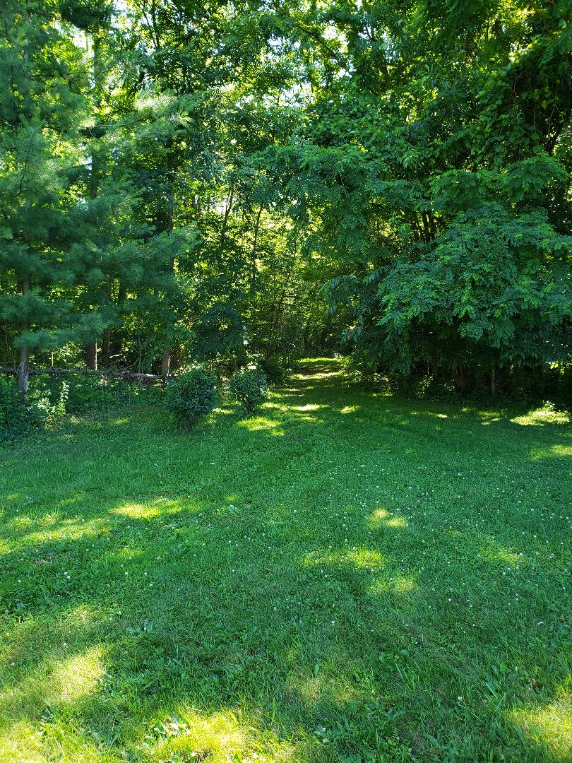 Entrance into woods