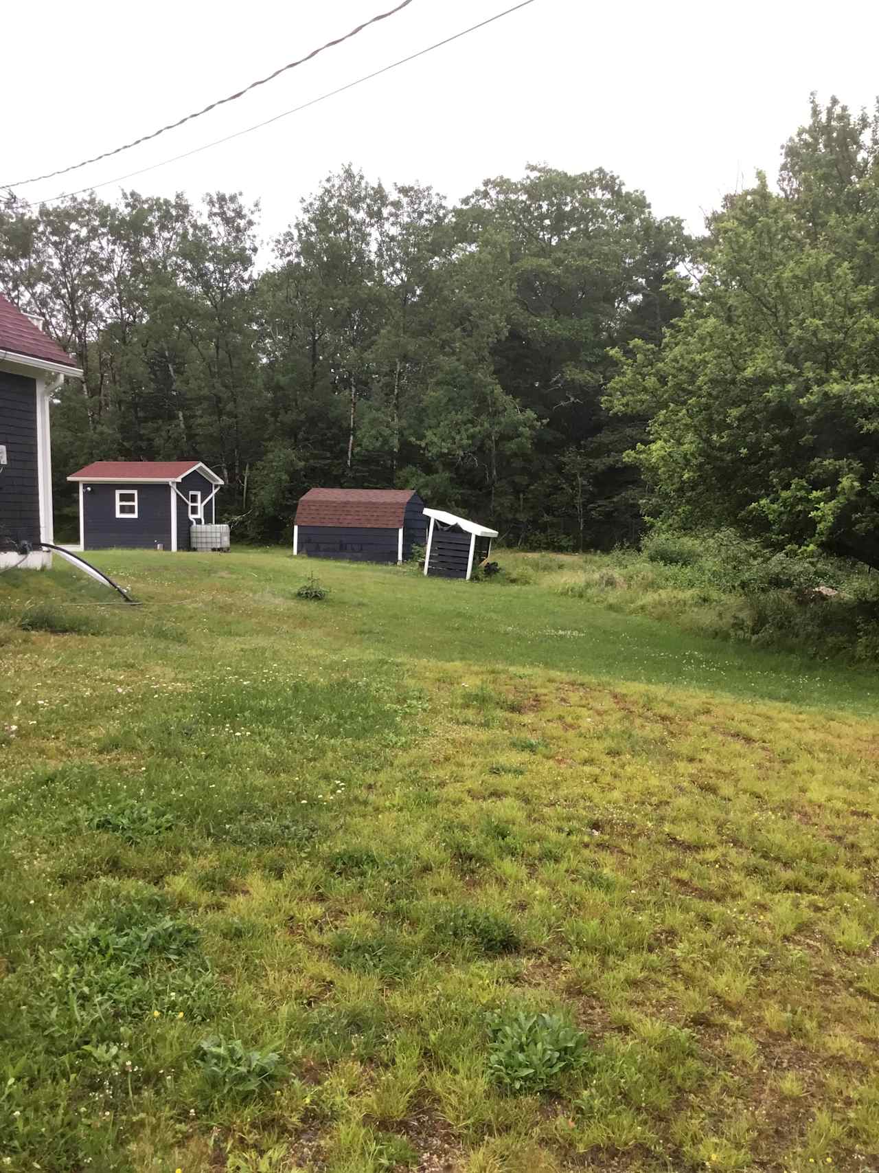 MAHONE BAY Trails and Shore