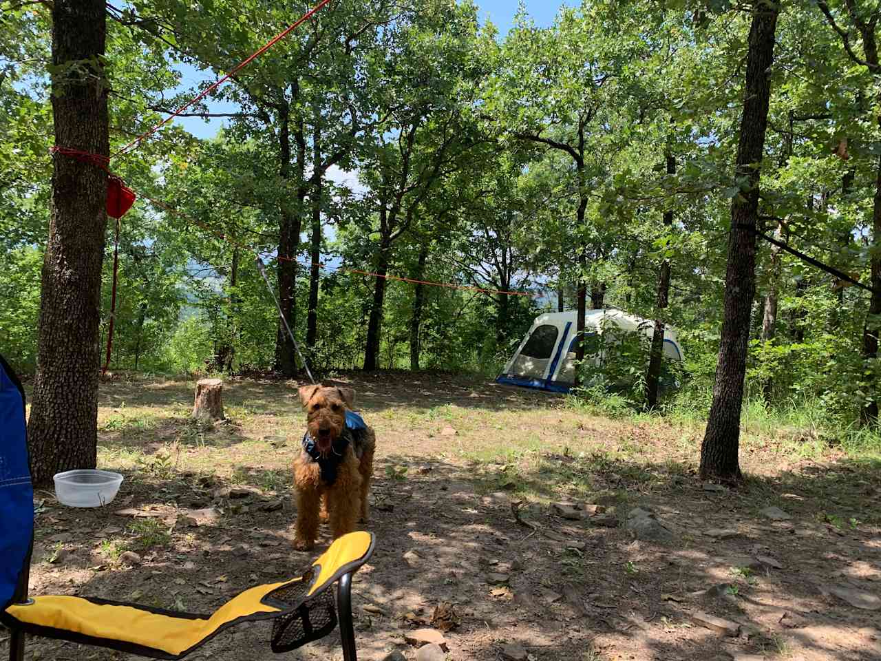 Heavener Runestone Park