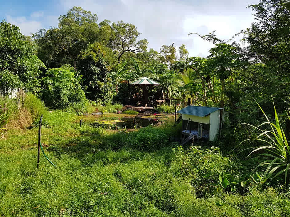 Zazen Permaculture Farm