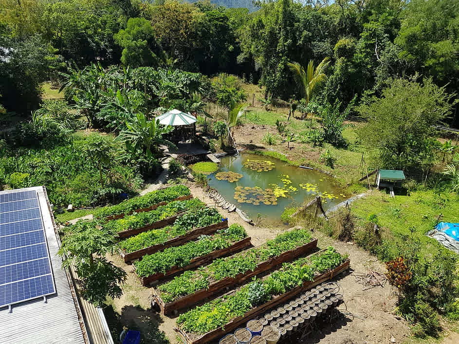 Zazen Permaculture Farm