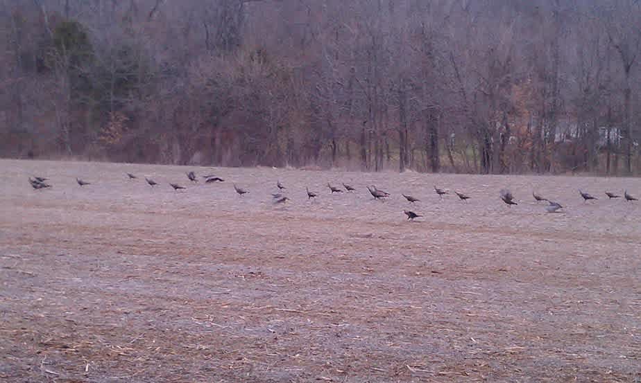 Really peaceful, nature watching.