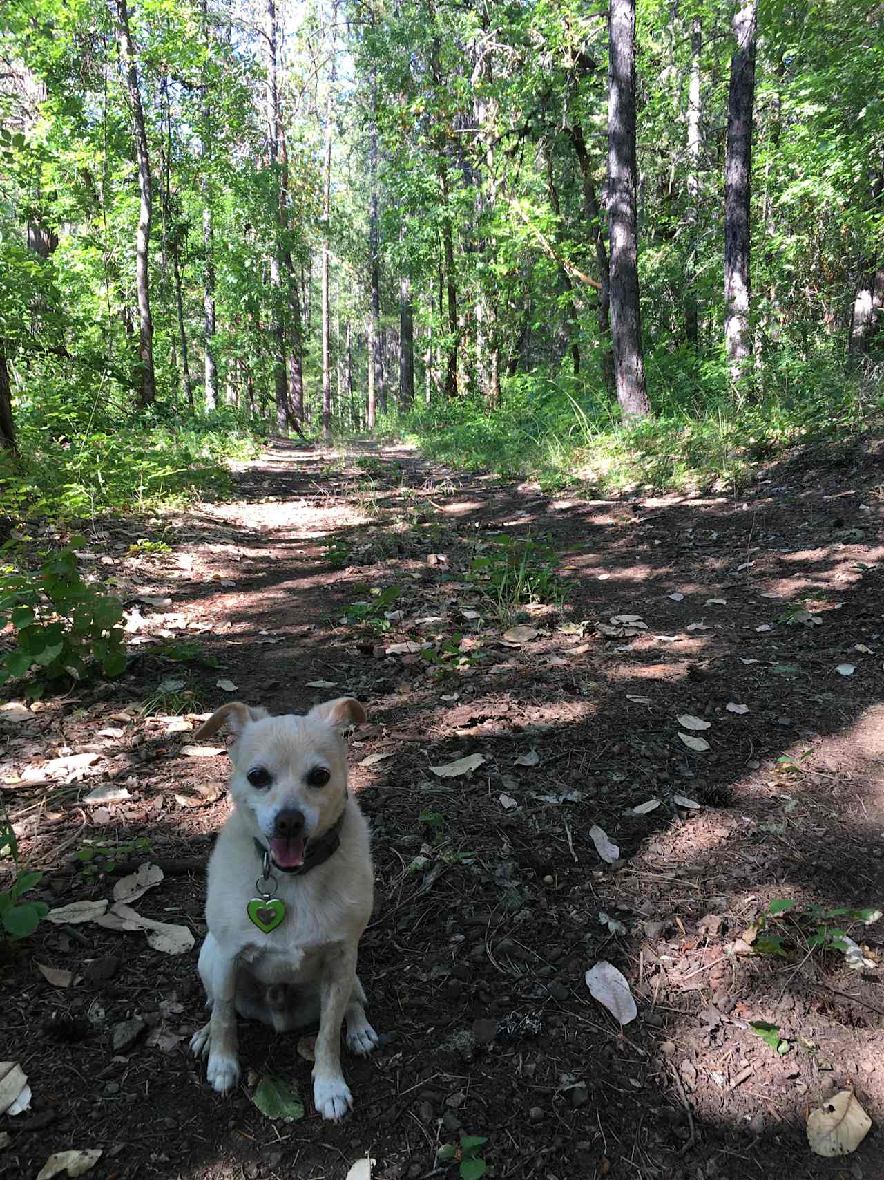 Short easy trail next to campsite.