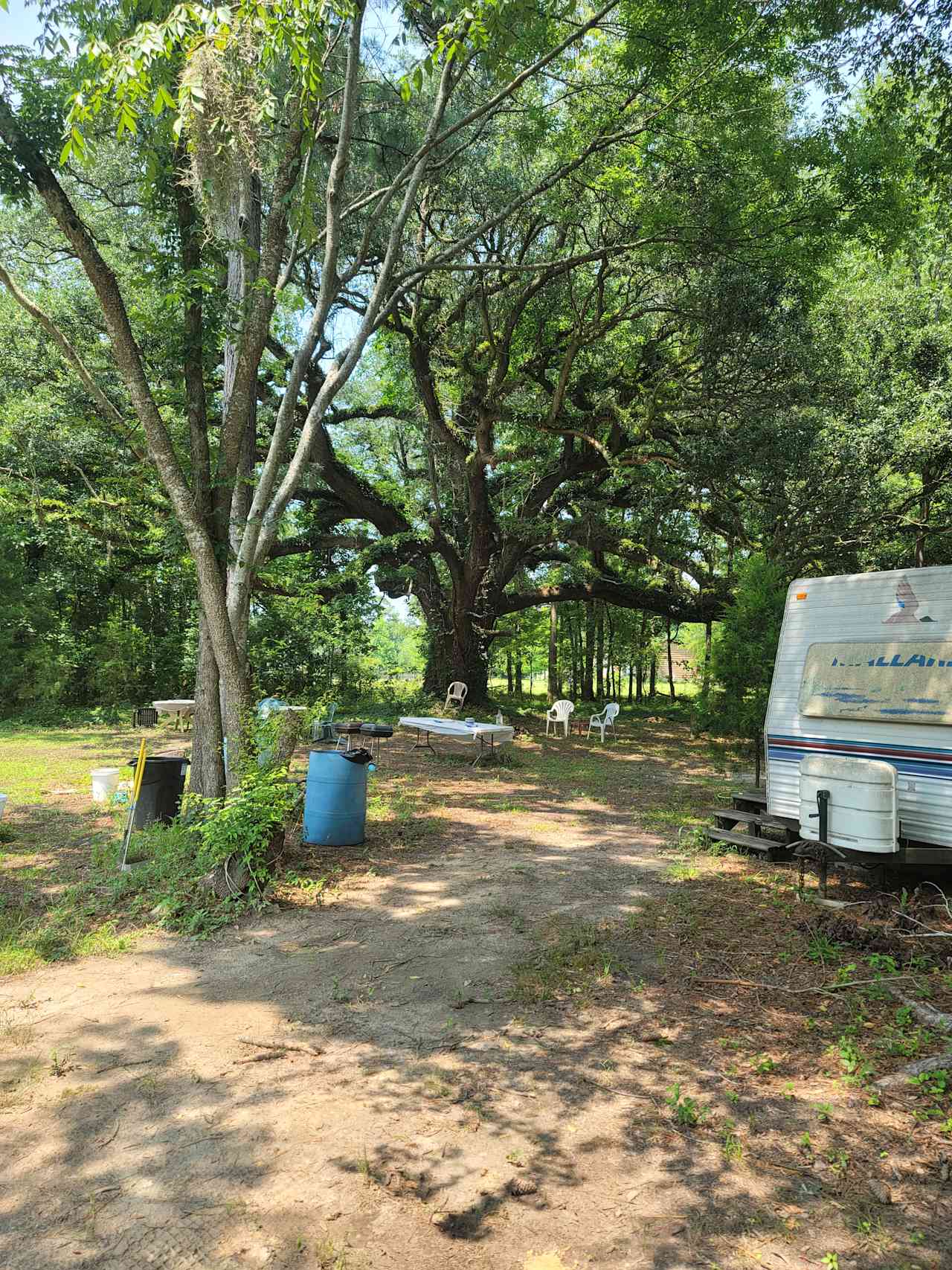 Our site and the common area next to us