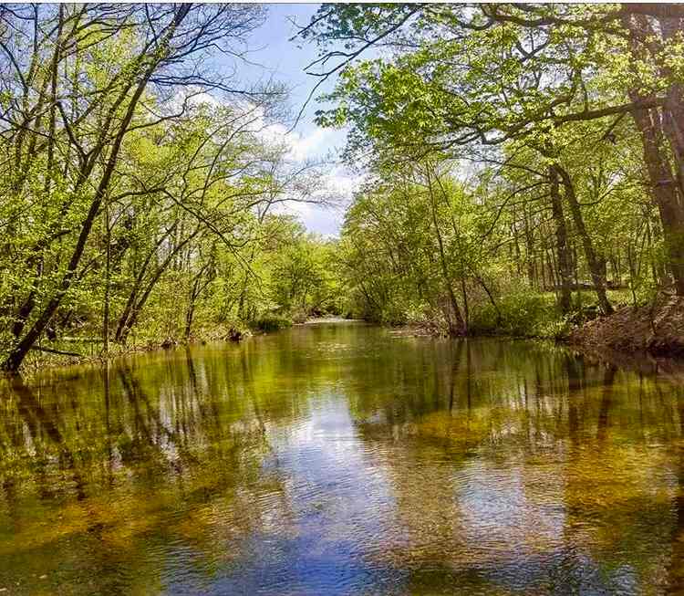 Shoal Home, an Ozark getaway