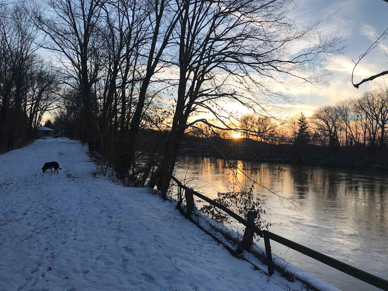 SIte 1. Winter view from bridge of ridge along the Meramec River looking up towards my house. My dog Bella. She's a good dog, but can also be kept indoors if that's what makes sense.