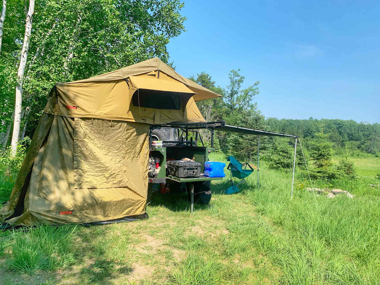 Forest Cleanse on 40 Acres!