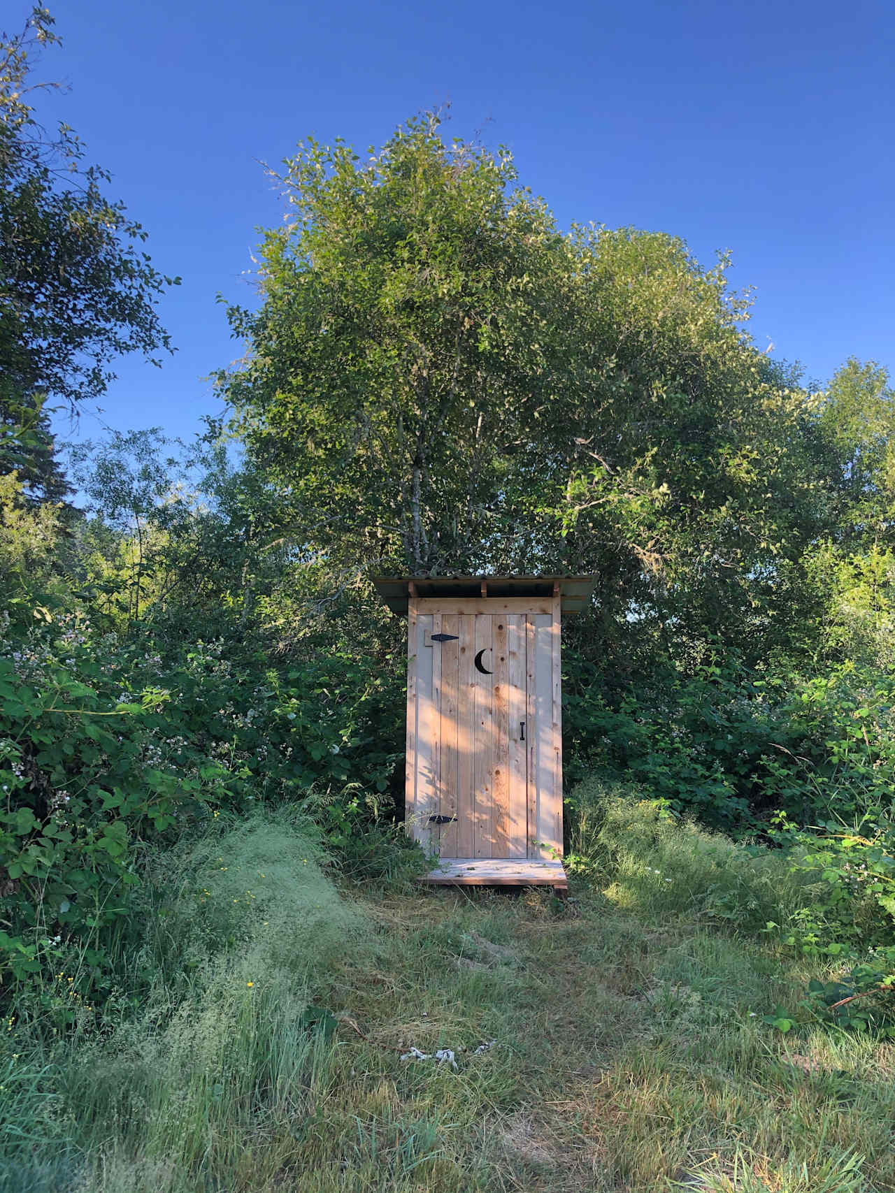 Squared Roots Farm Yurt