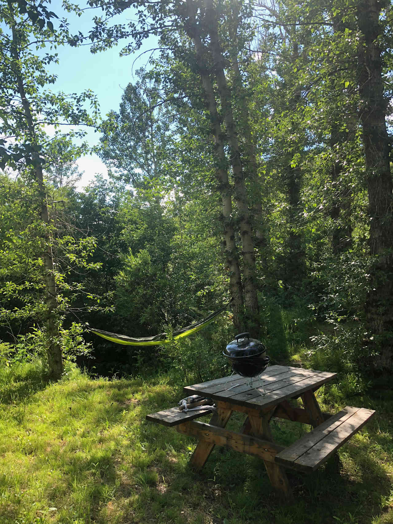 Hammock by the creek