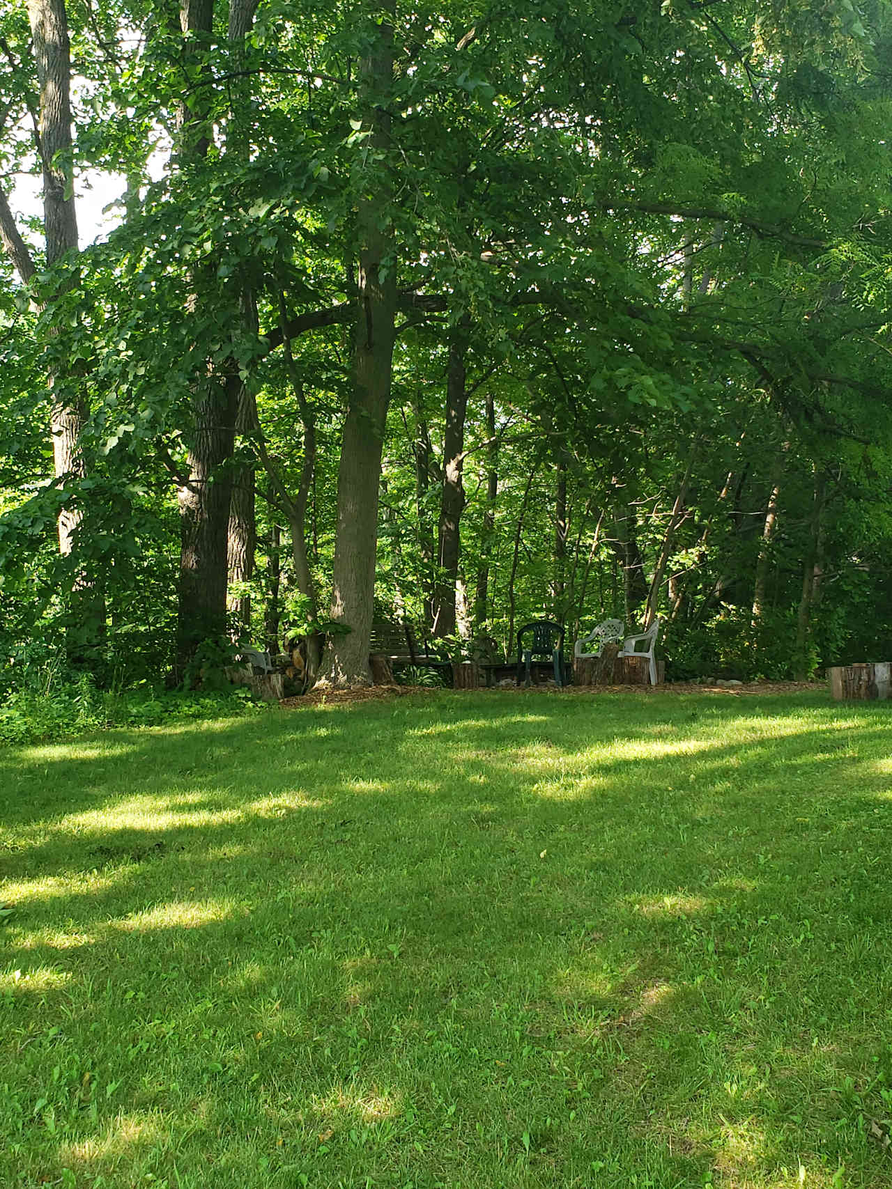 Cool Wooded Retreat