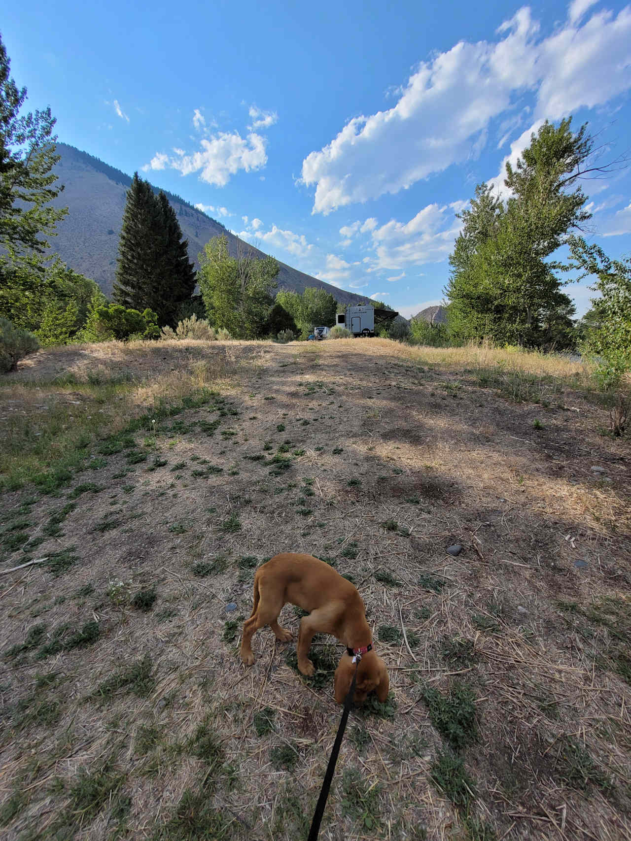 Cactus River Ranch RV