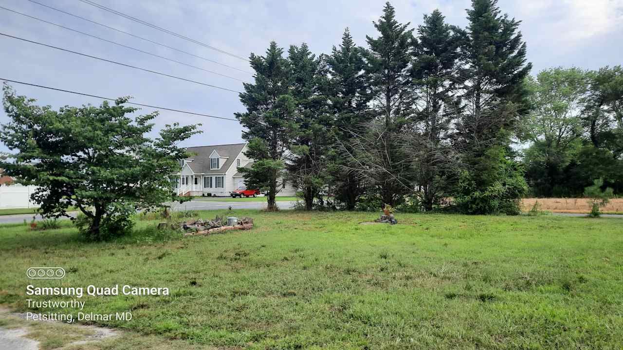 This site is on the left side of the driveway. Make a left after the redbud tree (a small one with heart-shaped leaves) and pull past the wood pile to park parallel to the lumber.