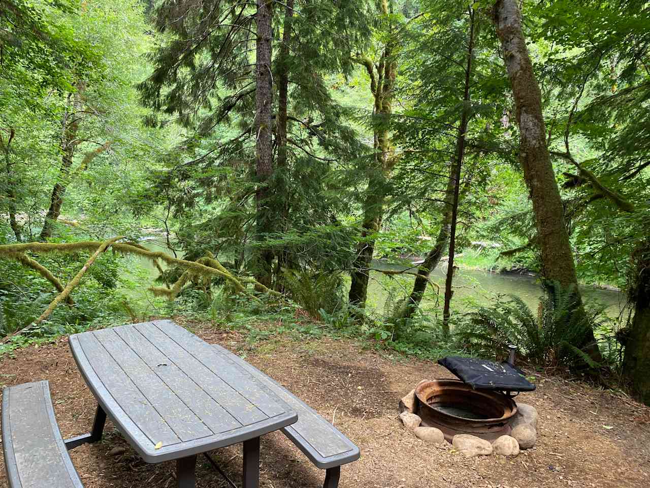 site 4 picture of the weir at the Fish Hatchery and the Sol Duc River.