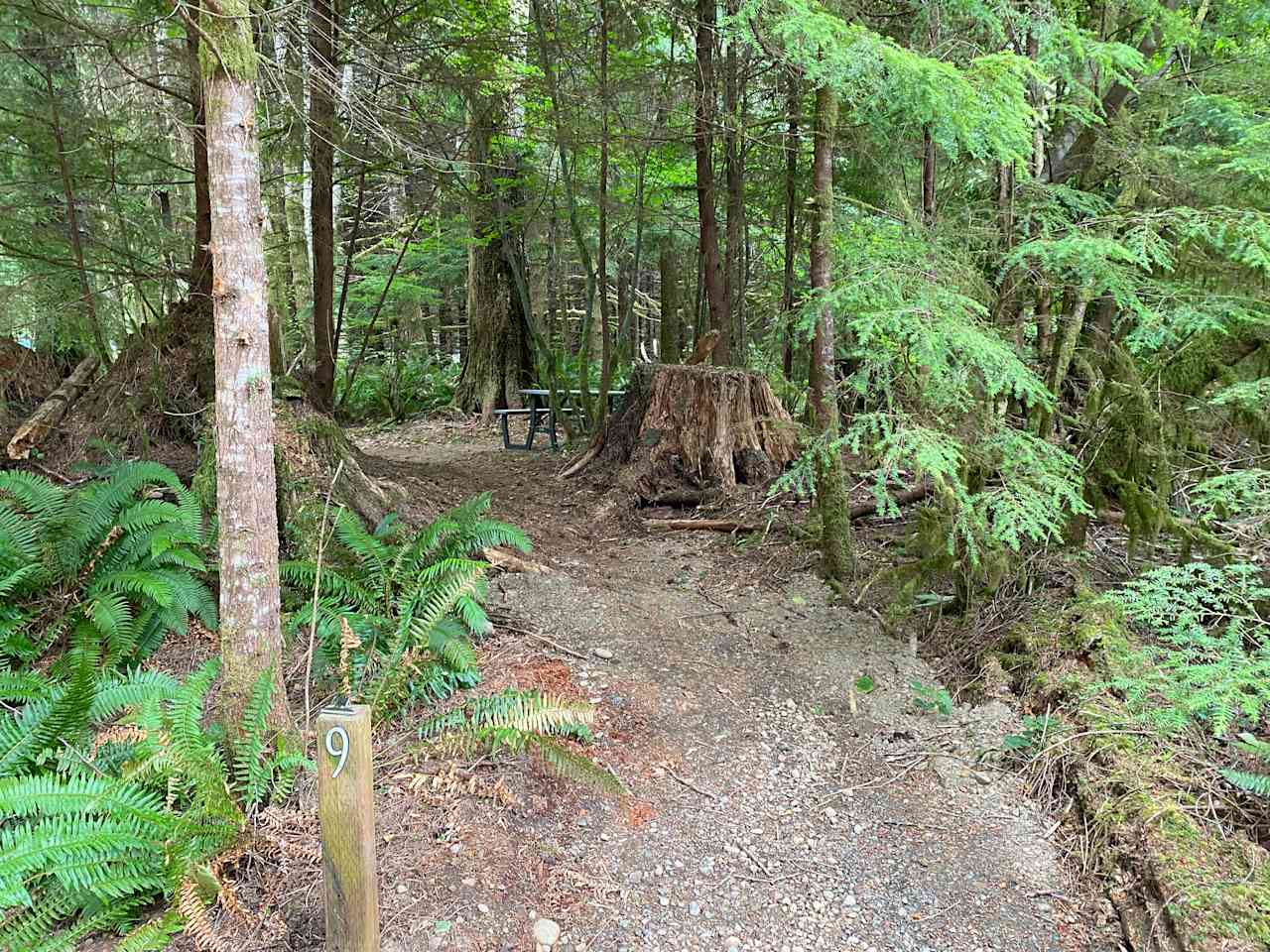 Site 9: Capacity 12x12 tent; Walk in on it's own path left of parking lot about 10 feet