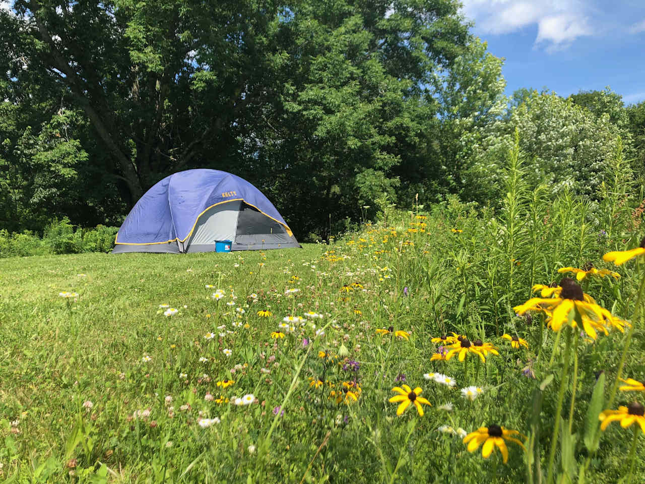 Campsite area