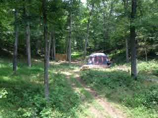 meadow camp site in the holler