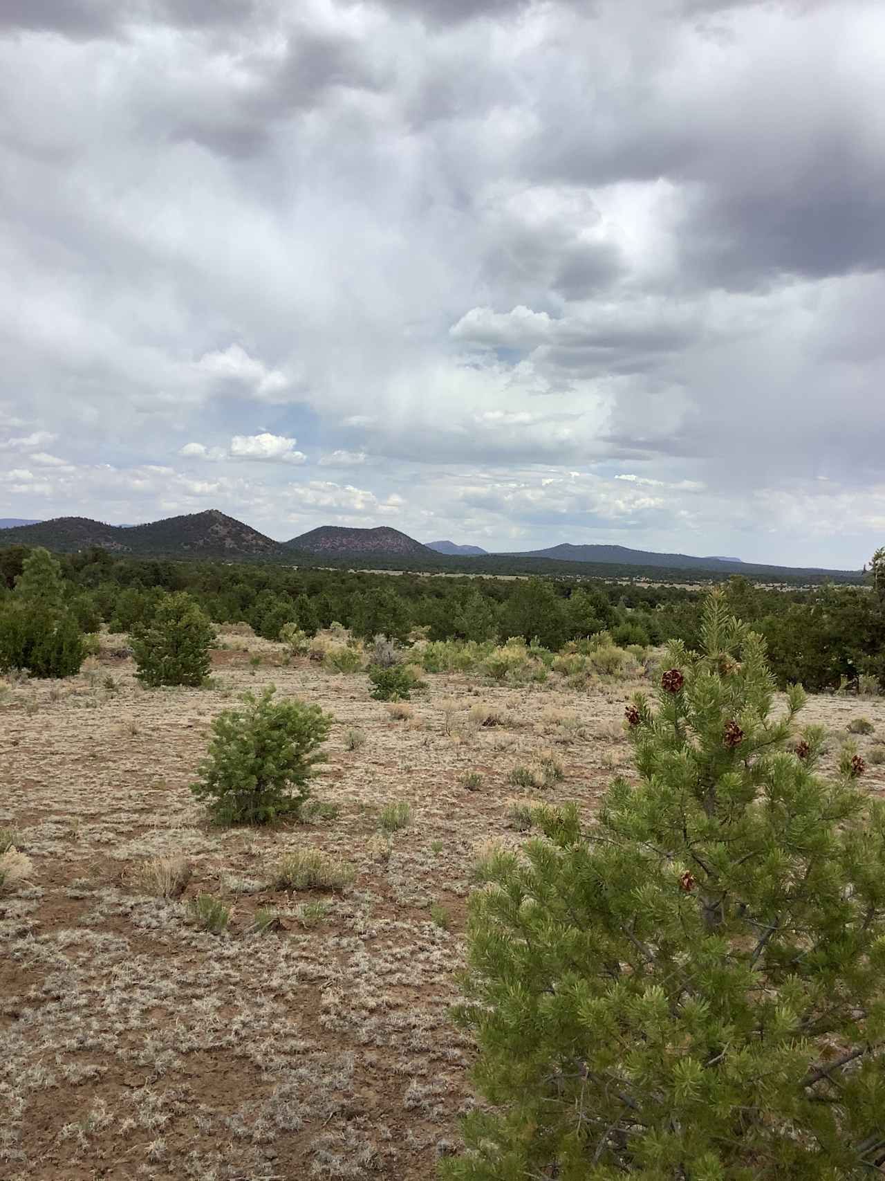 El Malpais National Monument Camp