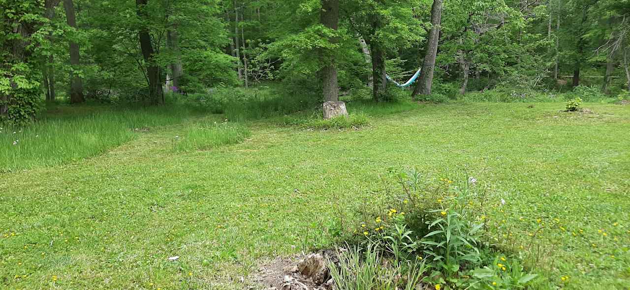Auntie Max's Retreat - Photo 2