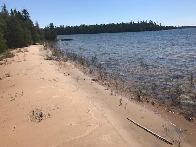 the beach of the property. 150 feet of shoreline :) Shore line can go high or low depending on the previous year's winter.