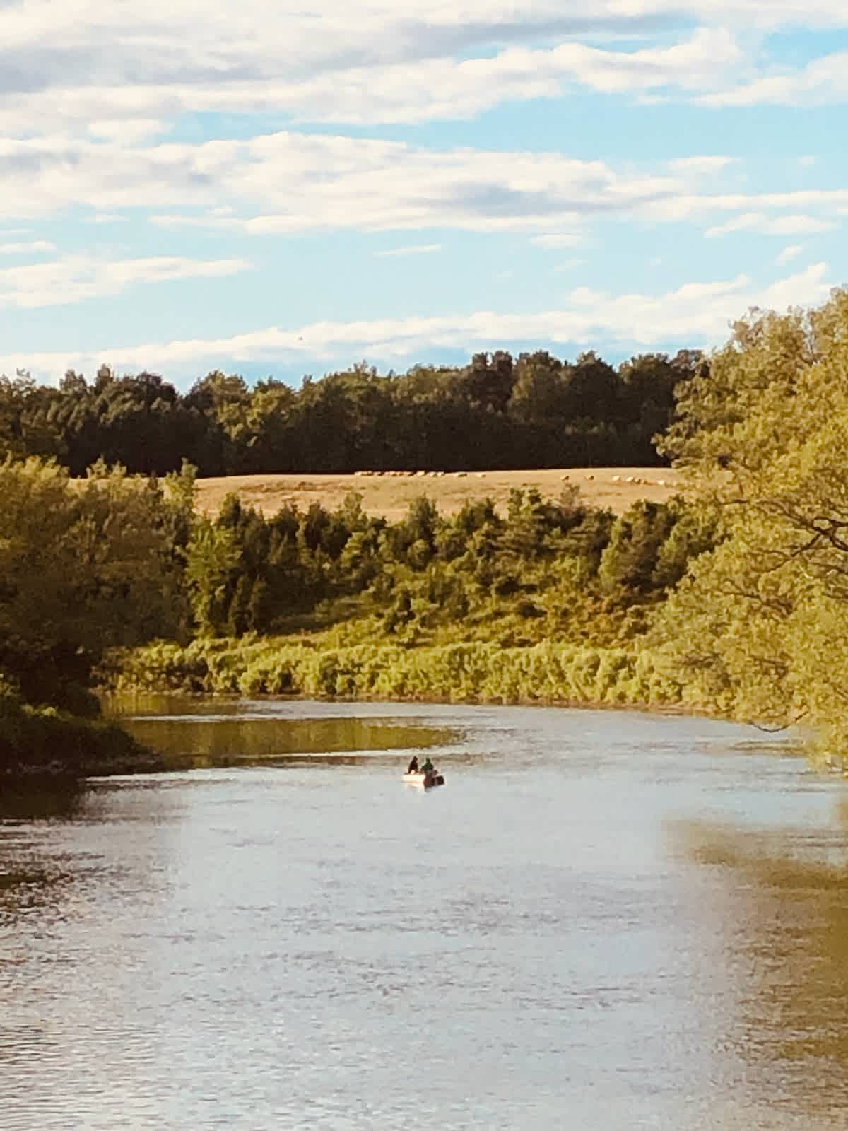 Rowley's Saugeen River Adv. Acres