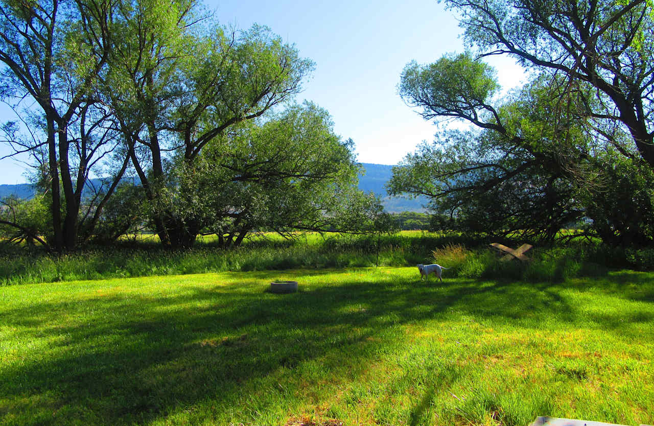 Shaded Private Camp Site