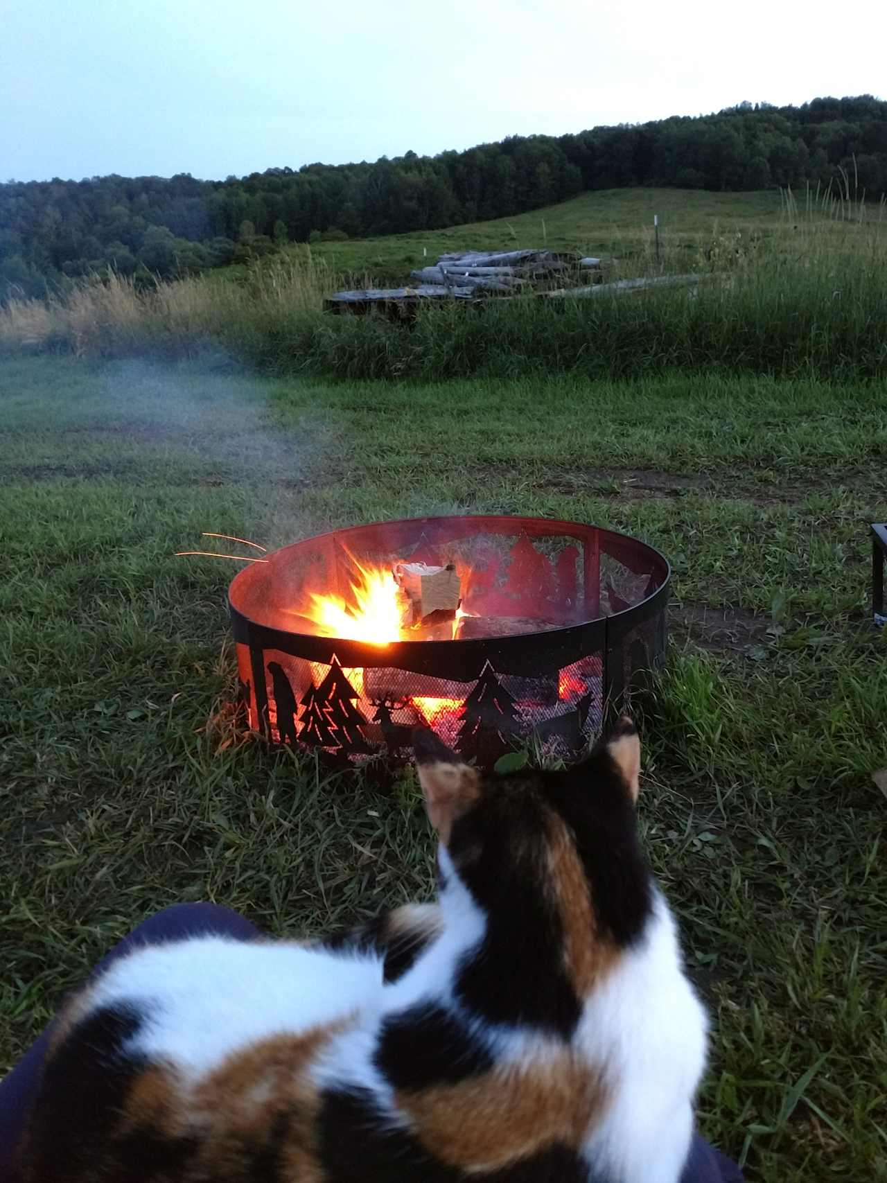 PB Farm Rustic camping