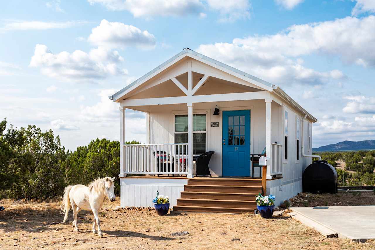 Wake up with MiniHorses Cottage