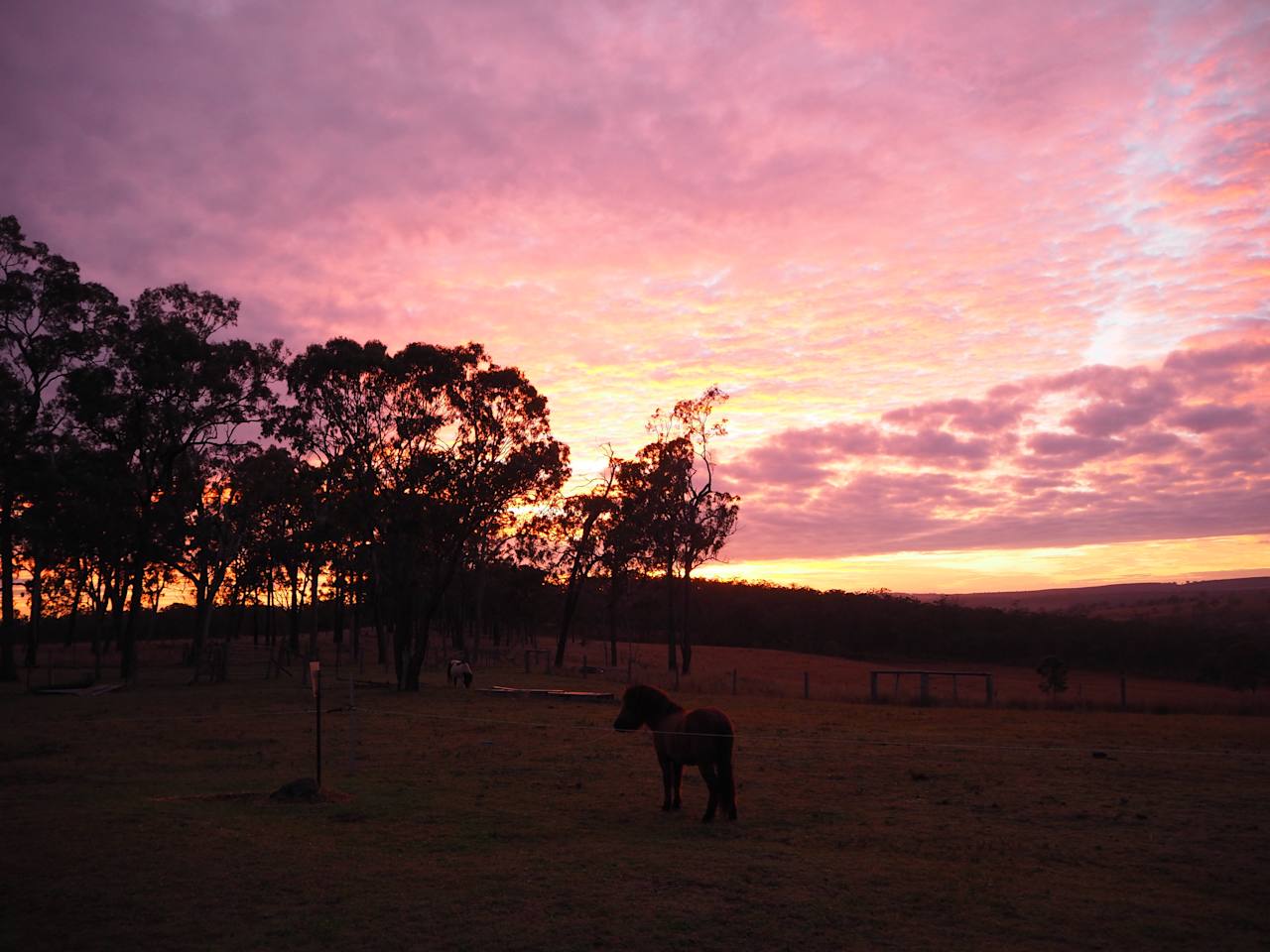 Tinara, 200 acre cattle farm 