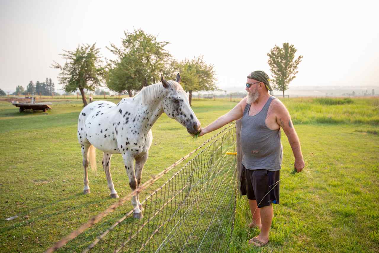 The next-door neighbor's horse was super friendly!  It kept sticking its head over the fence looking for attention.