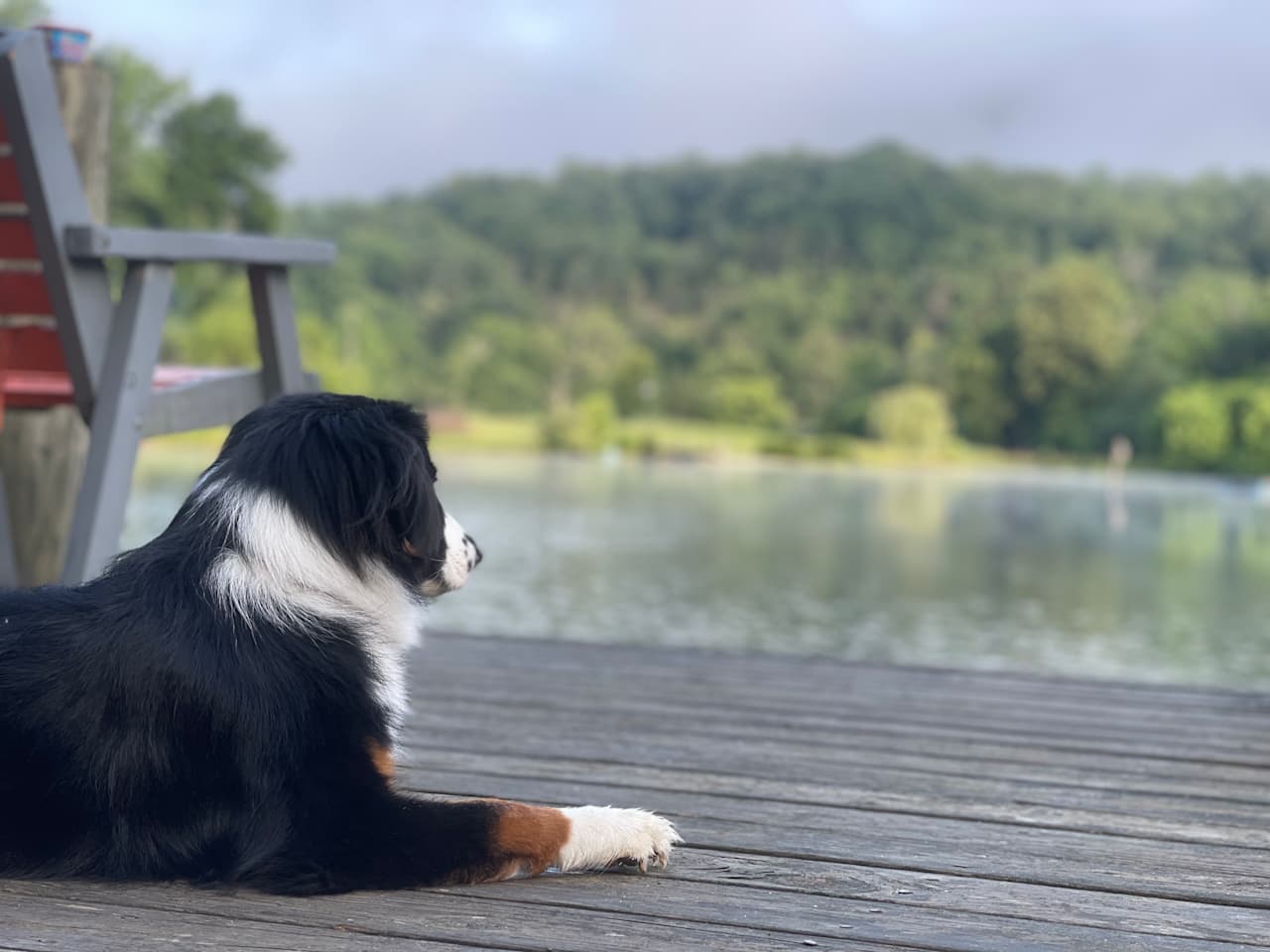 Pastimes on Passage Creek Ranch