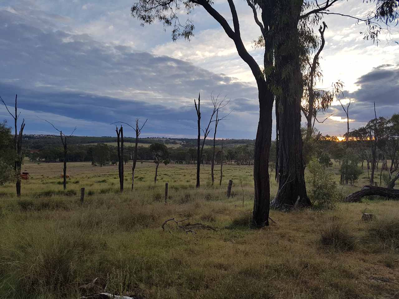 Kia Ora - Back To Nature