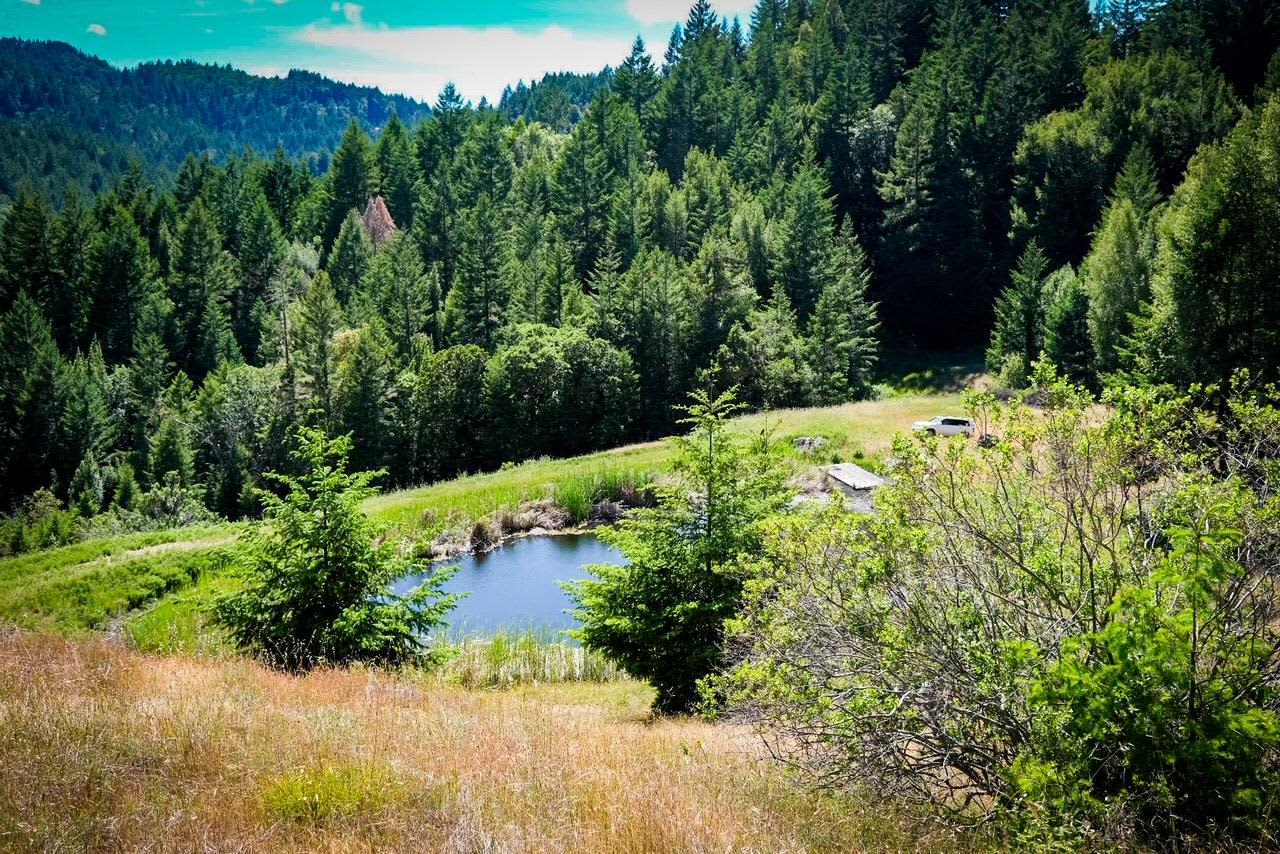 Cannabis Friendly Camping