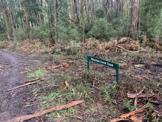 Mountain Creek Track for the hikers and the bikers.