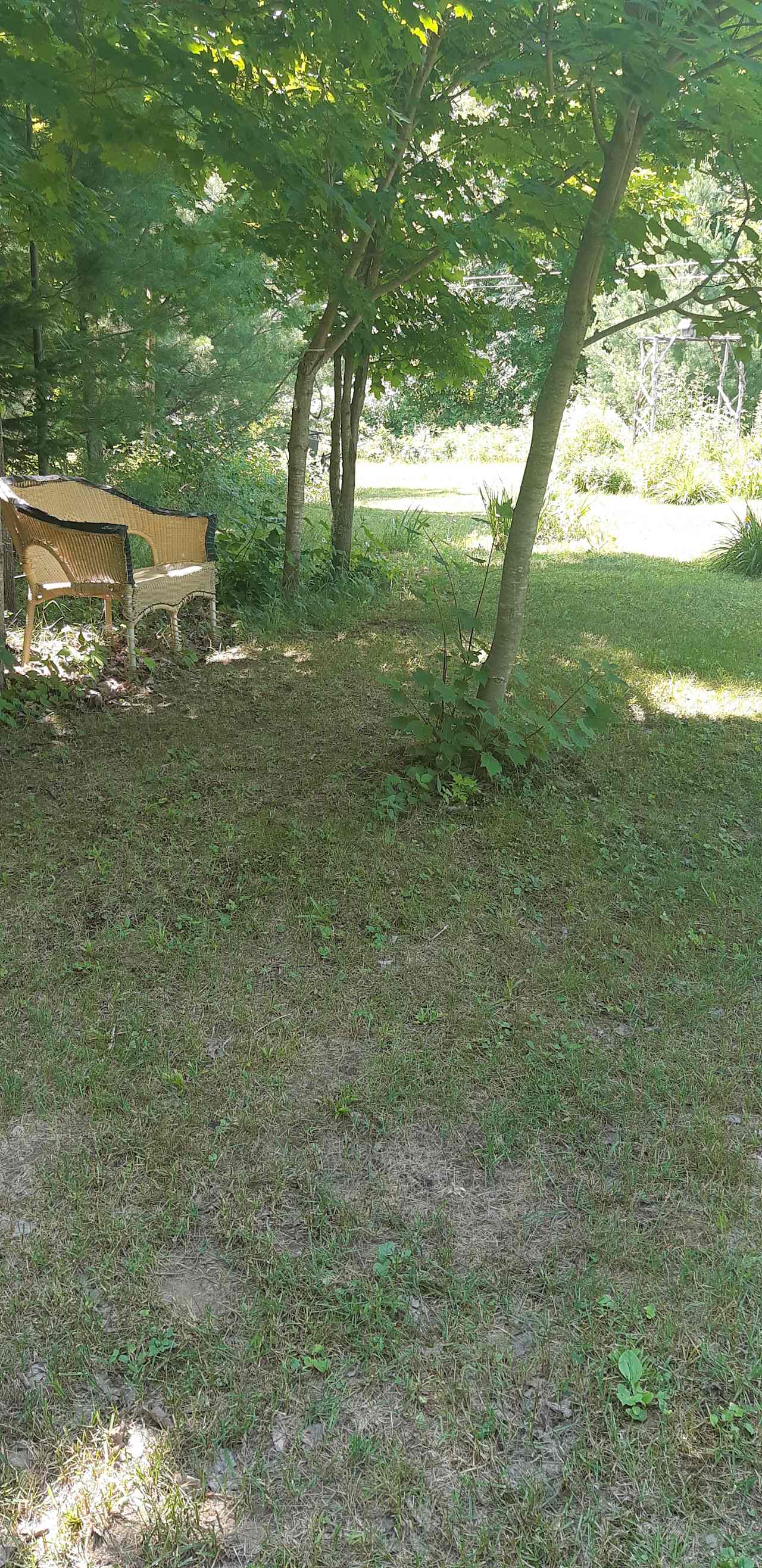 Grandma's Cabin - Lake and Fishing