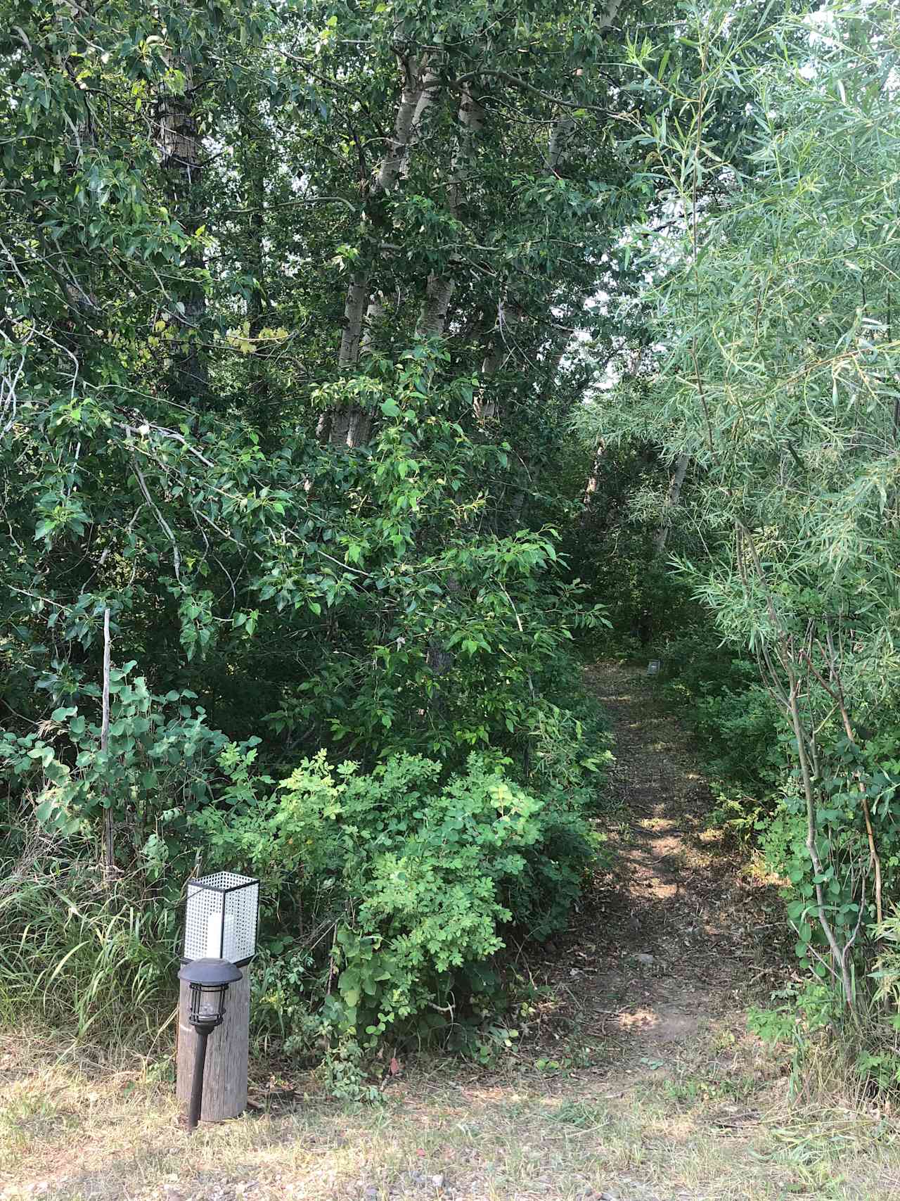 Winding, wooded trail to campsite.  A shorter trail is right off the parking area if you don't mind crossing the creek on a log bridge.