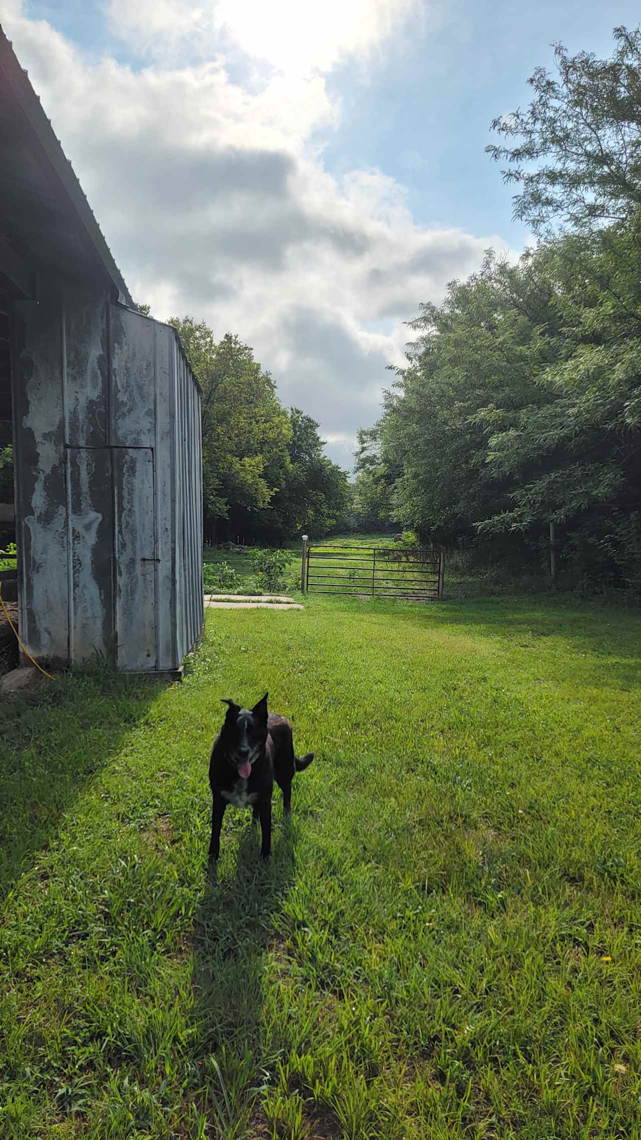 Equine Estates Rustic Horse Ranch