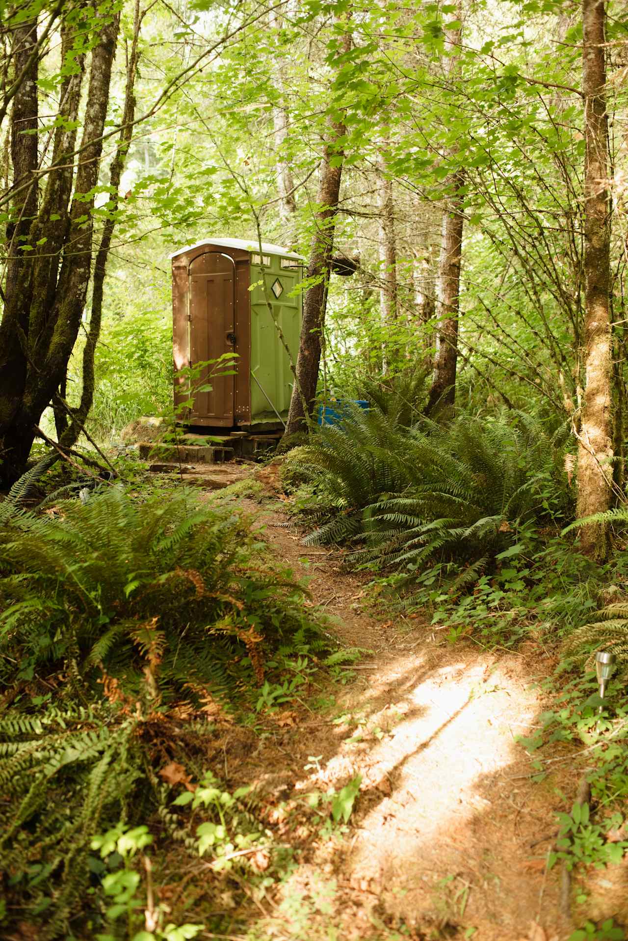 A clean potty set back in the woods near the entrance.